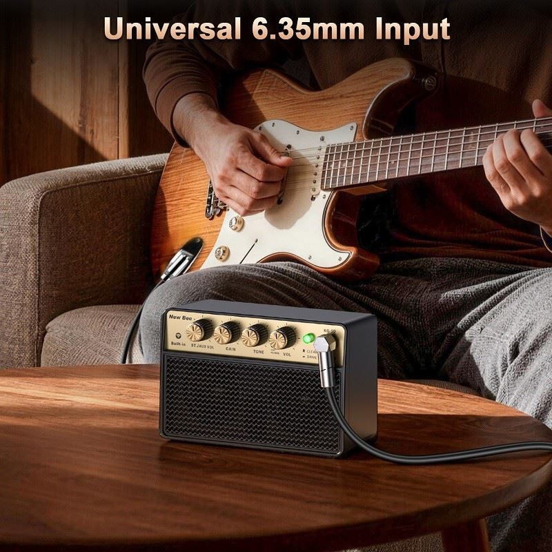 portable guitar amp